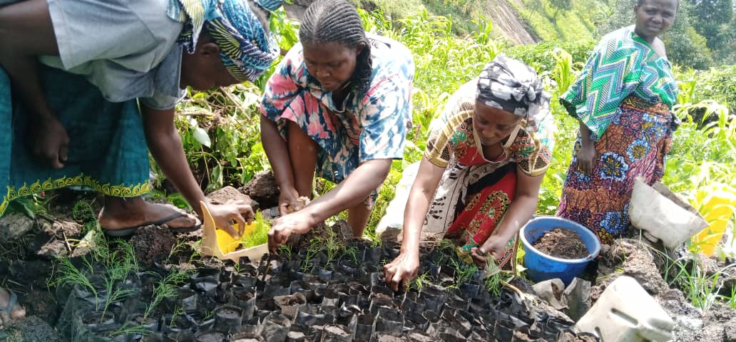 L'UAD/ONG dans le Reboisement